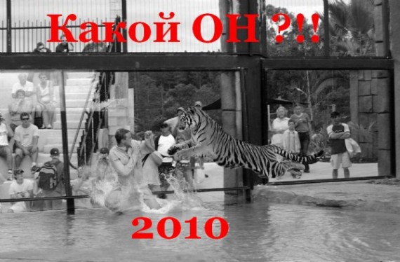 английская диета 21 день и артрит коленного сустава диета